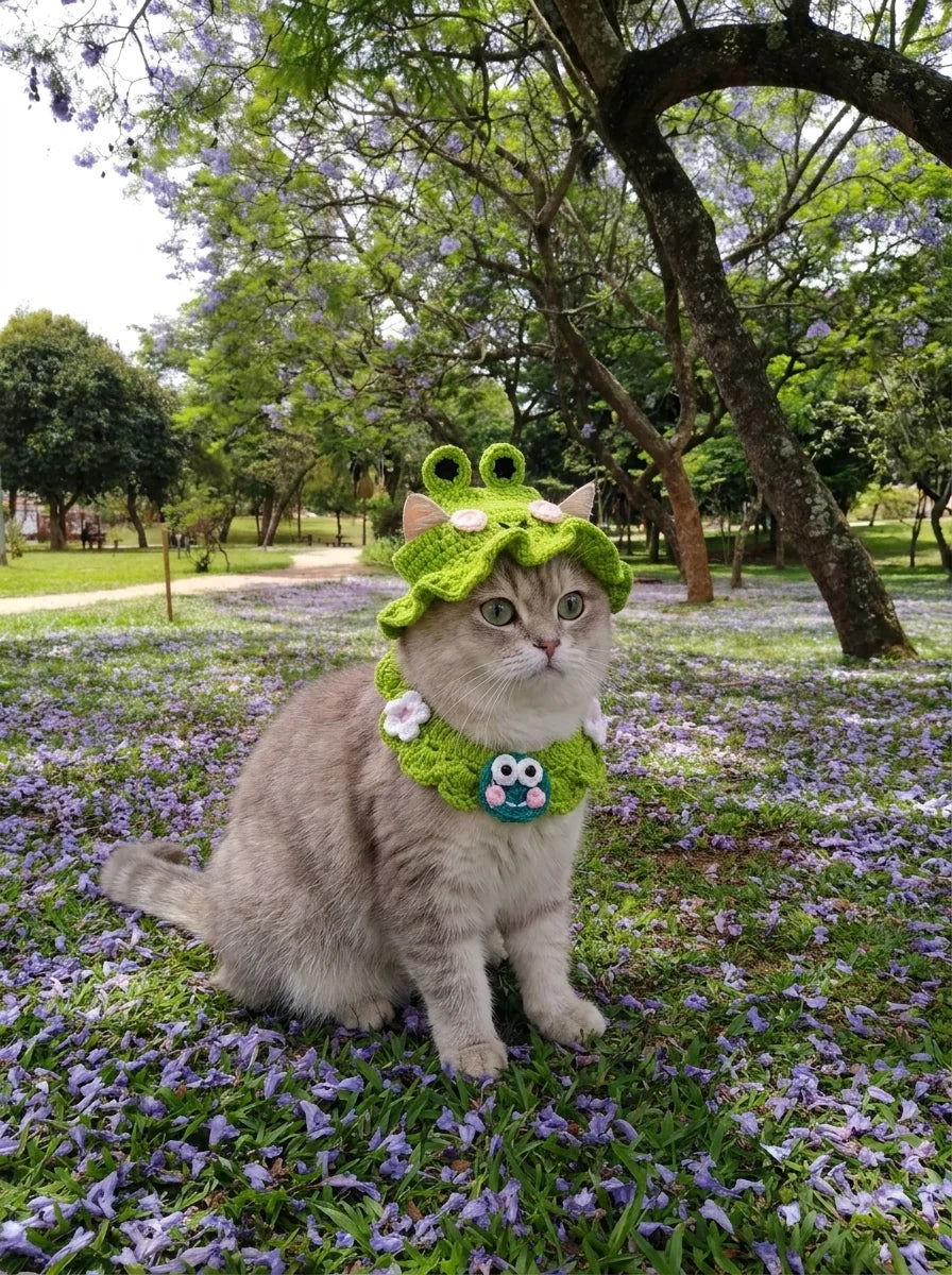Crocheted Pet Hat