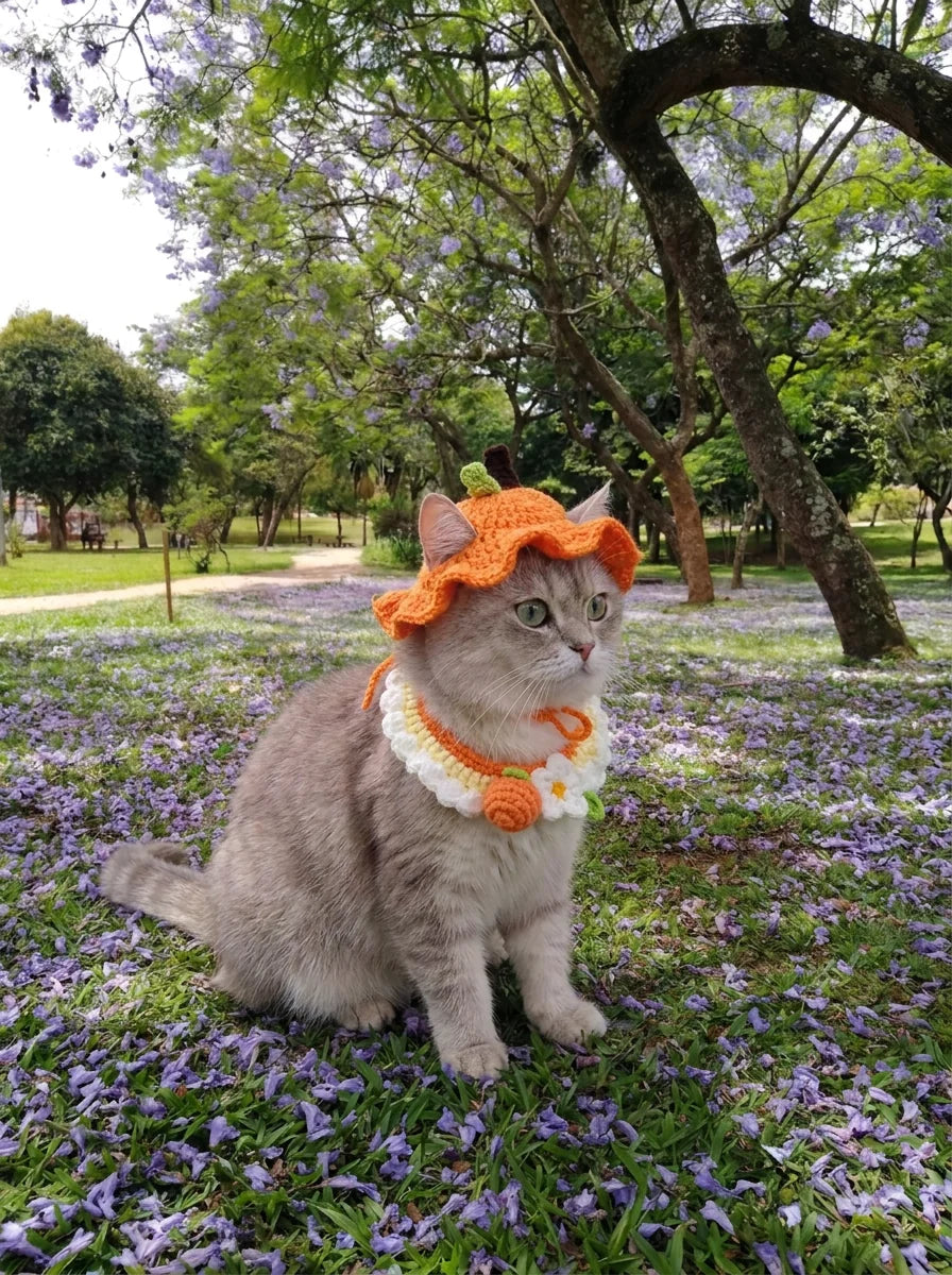 Crocheted Pet Hat