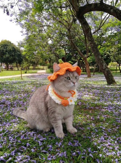 Crocheted Pet Hat