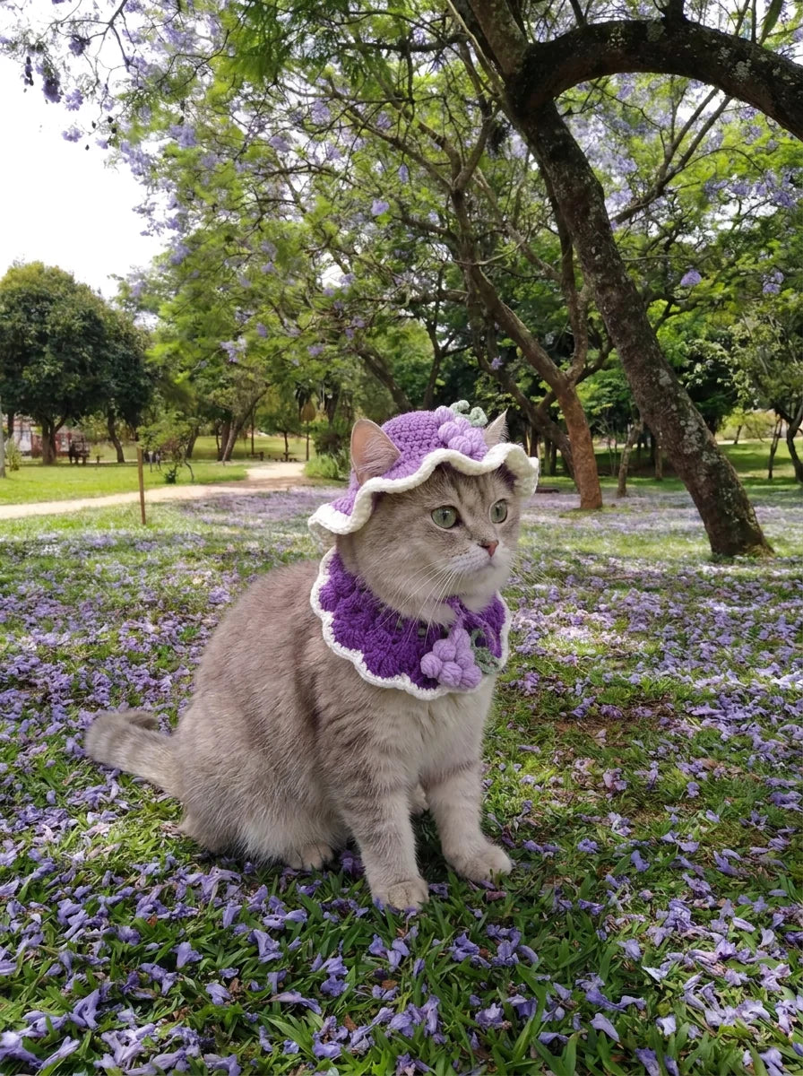 Crocheted Pet Hat