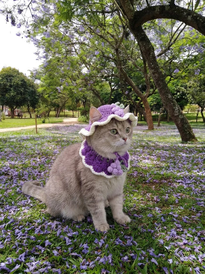 Crocheted Pet Hat