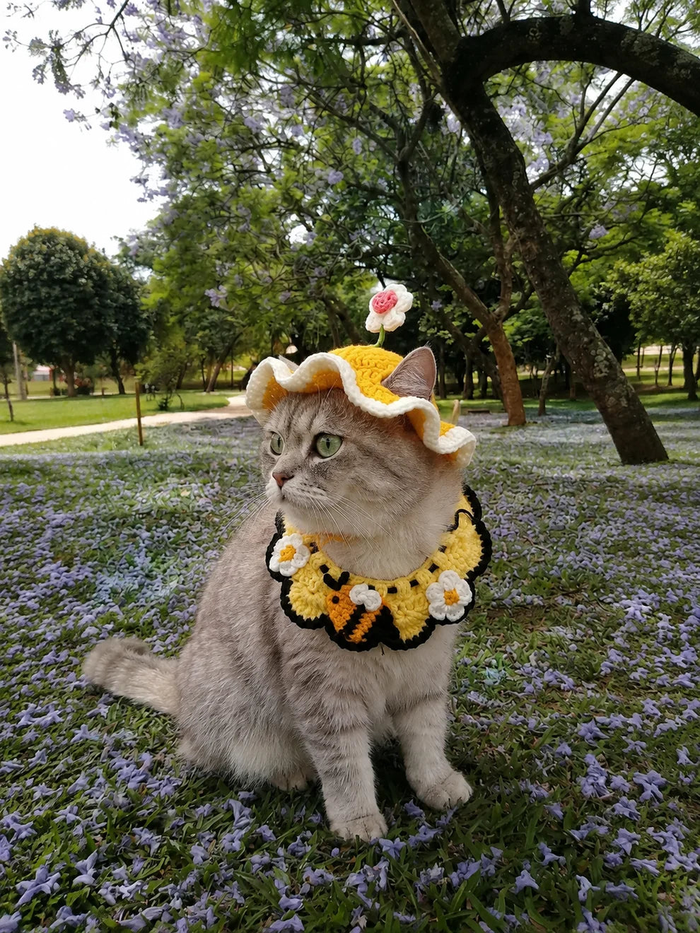 Crocheted Pet Hat