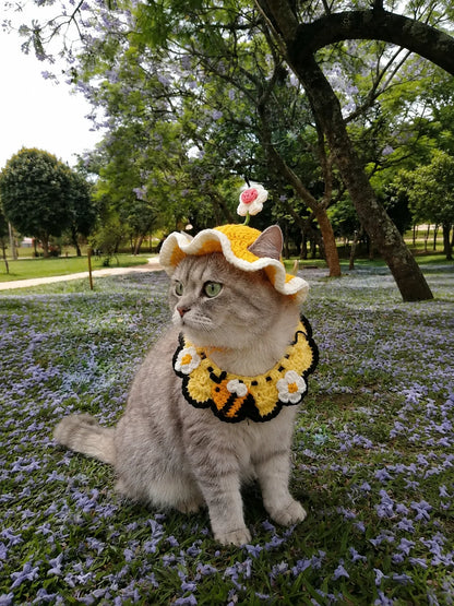 Crocheted Pet Hat