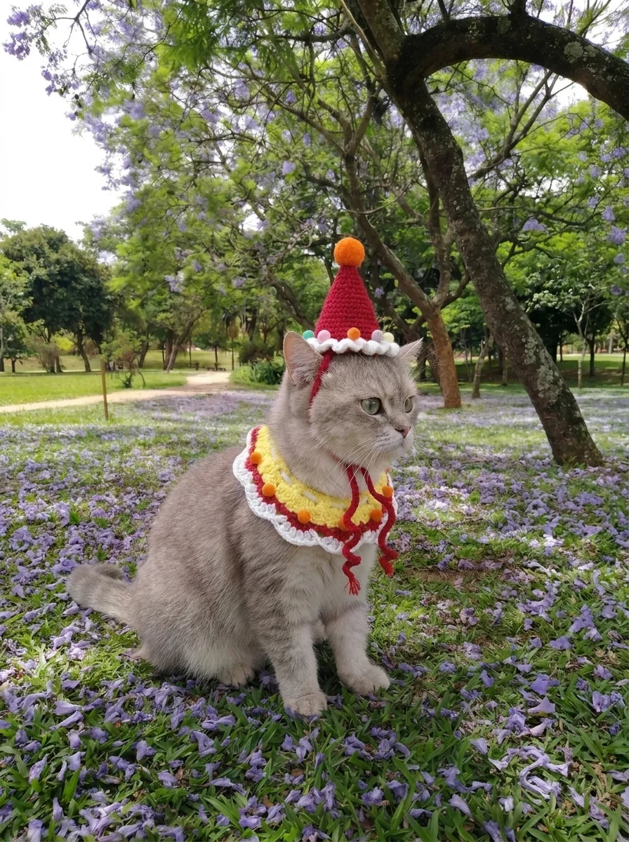 Crocheted Pet Hat